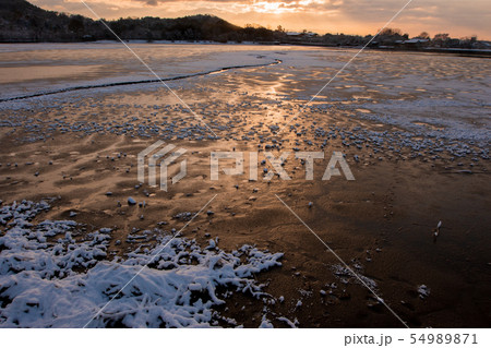 京都市右京区広沢池を早朝撮影したもの 京都市右京区広沢池を早朝撮影したもの 54989871