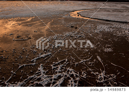 京都市右京区広沢池を早朝撮影したもの 京都市右京区広沢池を早朝撮影したもの 54989873