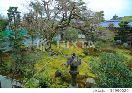 京都 麟祥院 京都 麟祥院 54990020