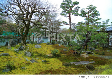 京都 麟祥院 京都 麟祥院 54990021