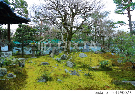 京都 麟祥院 京都 麟祥院 54990022