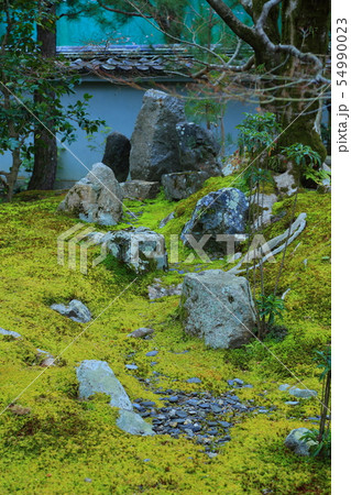 京都 麟祥院 京都 麟祥院 54990023