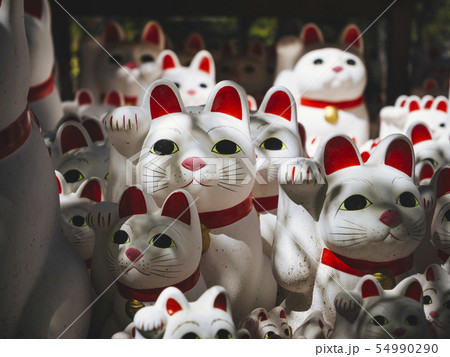 Maneki neko Lucky cat in Gotokuji Temple Tokyo 54990290