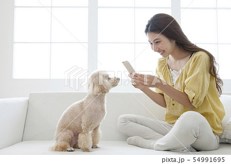 スマートフォンで犬の写真を撮る女性 スマートフォンで犬の写真を撮る女性 54991695