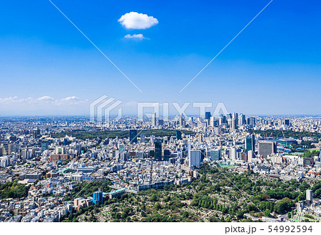 東京　新宿副都心・代々木公園周辺 54992594