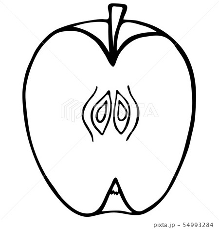 Outline fruit apple.  54993284