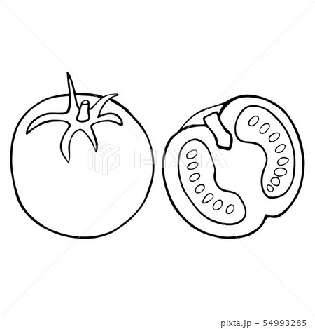 Outline vegetable tomato 54993285