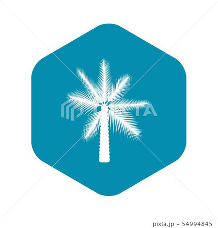 Big palm tree icon, simple style Big palm tree icon, simple style 54994845