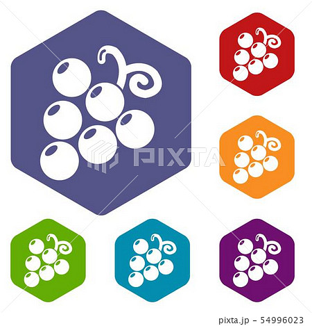 Grapes icons vector hexahedron Grapes icons vector hexahedron 54996023