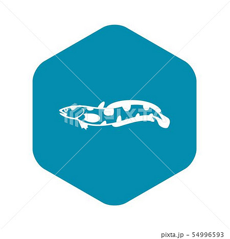 Anarhichas fish icon, simple style 54996593