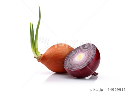 Yellow and red onion isolated on white Yellow and red onion isolated on white 54999915