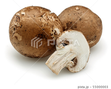 Chestnut mushrooms isolated on white Chestnut mushrooms isolated on white 55000003