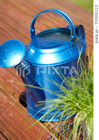 blue watering can in garden blue watering can in garden 55000122