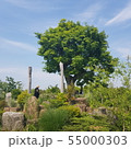 55000303