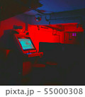55000308