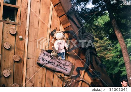 魔女 フィルム クモ 55001043