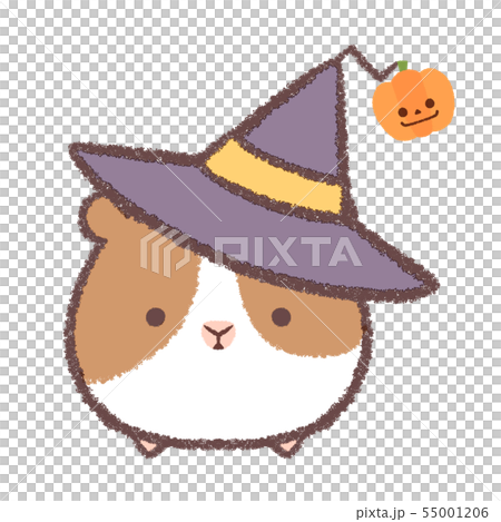 モルモットハロウィン モルモットハロウィン 55001206