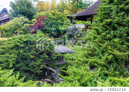 水戸光圀公が寄進の灯篭 勧修寺 水戸光圀公が寄進の灯篭 勧修寺 55001210