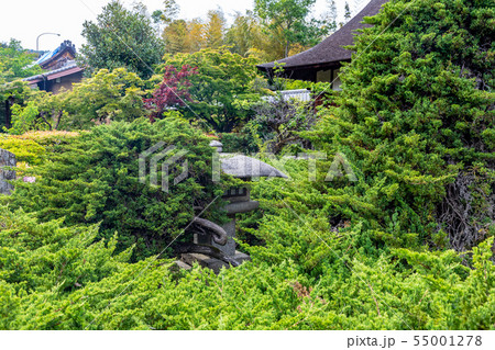 水戸光圀公が寄進の灯篭 勧修寺 水戸光圀公が寄進の灯篭 勧修寺 55001278