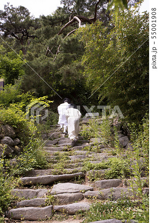 伝統 韓服 たて 55001908