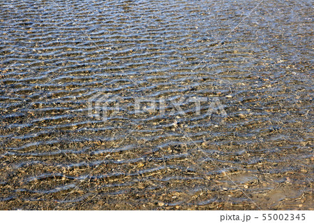 自然 水 風景 55002345