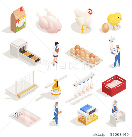 Chicken Farm Isometric Set Chicken Farm Isometric Set 55003449