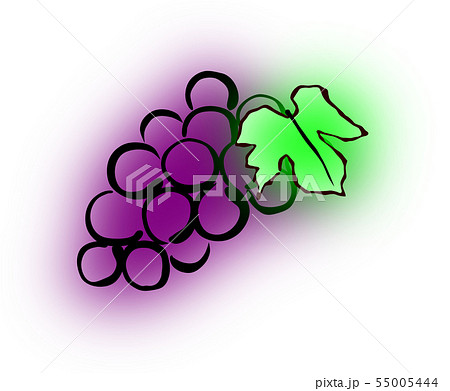 紫色の一房のぶどうのイラスト素材