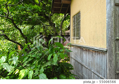 北鎌倉 円覚寺 佛日庵の茶室の写真素材