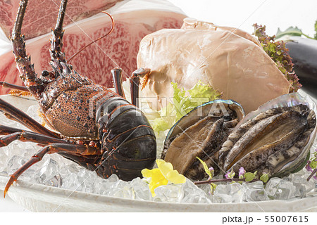 フォアグラ食材 55007615