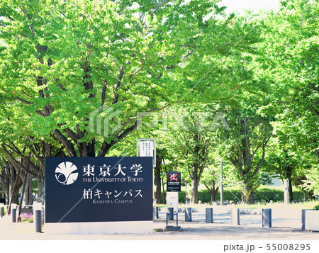 千葉県　東京大学柏キャンパス　 55008295