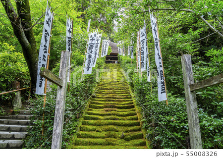 神奈川県 鎌倉 杉本寺 苔階段の写真素材