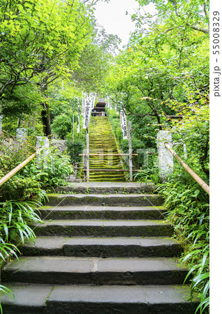 神奈川県 鎌倉 杉本寺 苔階段の写真素材