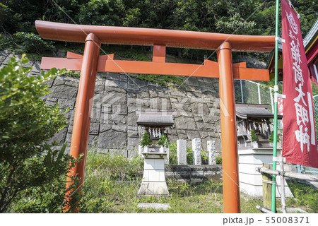 若宮八幡宮の稲荷社と天満宮(横浜市南区大岡) 若宮八幡宮の稲荷社と天満宮(横浜市南区大岡) 55008371