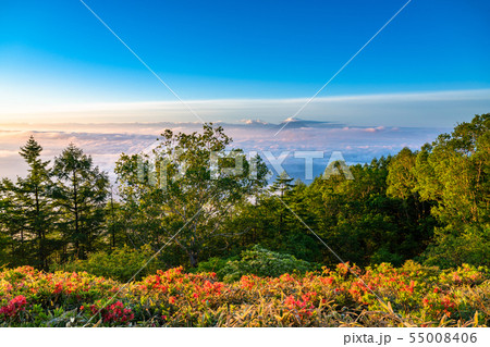 《山梨県》大雲海の夜明け・甘利山 55008406