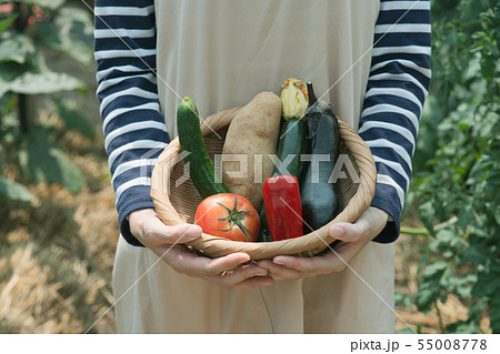 採れたて野菜 手元 採れたて野菜 手元 55008778