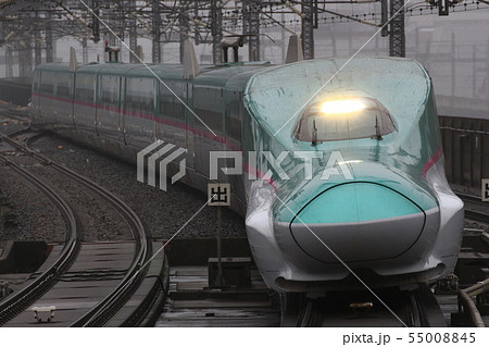 東北新幹線E5系(単独) 東北新幹線E5系(単独) 55008845