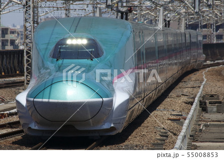 東北新幹線E5系(単独) 東北新幹線E5系(単独) 55008853