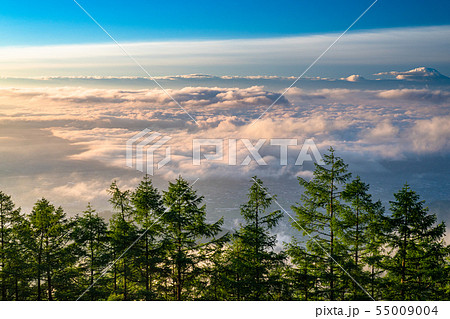 《山梨県》大雲海の夜明け・甘利山 55009004