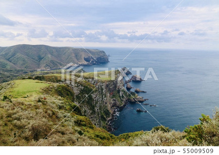 摩天崖（隠岐・西ノ島） 55009509