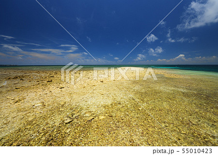 夏　沖縄　海　イメージ　バラス島　青空　夏空　夏休み　快晴　旅行　離島　真夏　観光　素材　背景 55010423