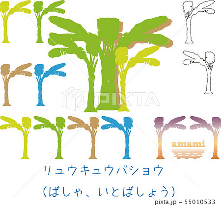 南国奄美の植物バショウやバナナのイラスト素材