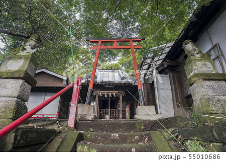 西森稲荷神社(横浜市南区蒔田町) 西森稲荷神社(横浜市南区蒔田町) 55010686