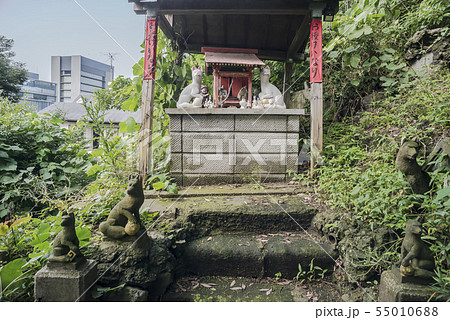 西森稲荷神社(横浜市南区蒔田町) 西森稲荷神社(横浜市南区蒔田町) 55010688