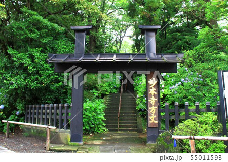 妙本寺方丈門 55011593