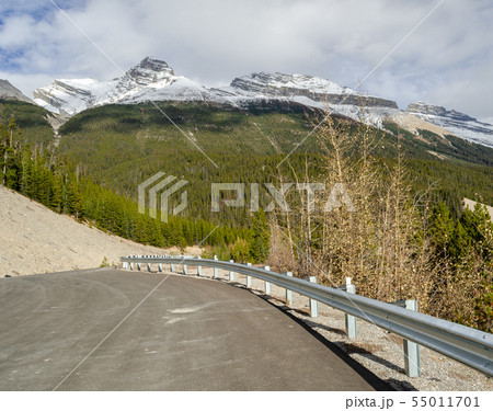 Winding road through Jasper National Park, 55011701