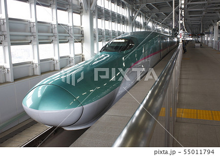 新青森駅に停車中の東北新幹線E5系 新青森駅に停車中の東北新幹線E5系 55011794