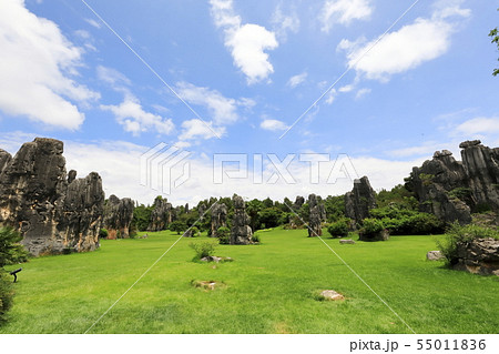 石林風景名勝区　世界遺産　雲南省　中国 55011836