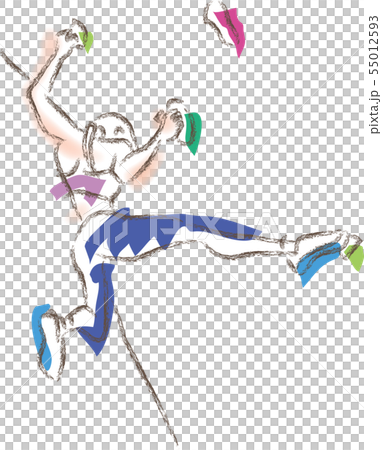 ボルダリングをしている女性 55012593