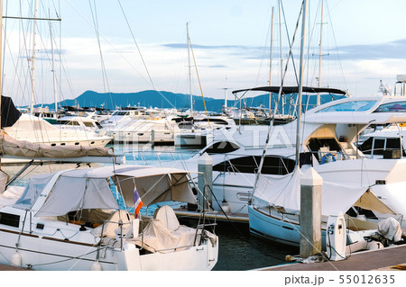 Luxury yachts docked in marina. Luxury yachts docked in marina. 55012635