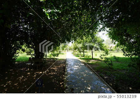 Killing Fields - Phnom Penh (Cambodia) Killing Fields - Phnom Penh (Cambodia) 55013239